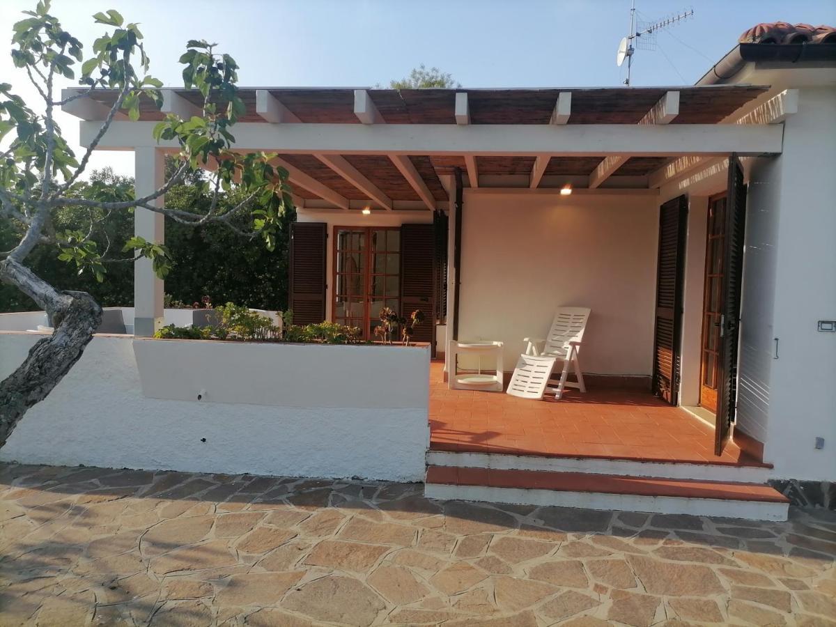 Villa Elba Le Palme Lido Di *
